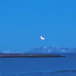 Lofoten Ocean View - Sandoy Gard Sand (Nordland)