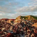 아파트 Lofoten Ocean View - Sandoy Gard Sand (Nordland)