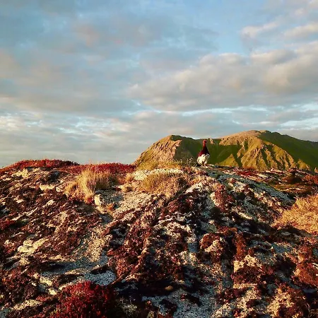 Leilighet Lofoten Ocean View - Sandøy Gård Sand (Nordland)